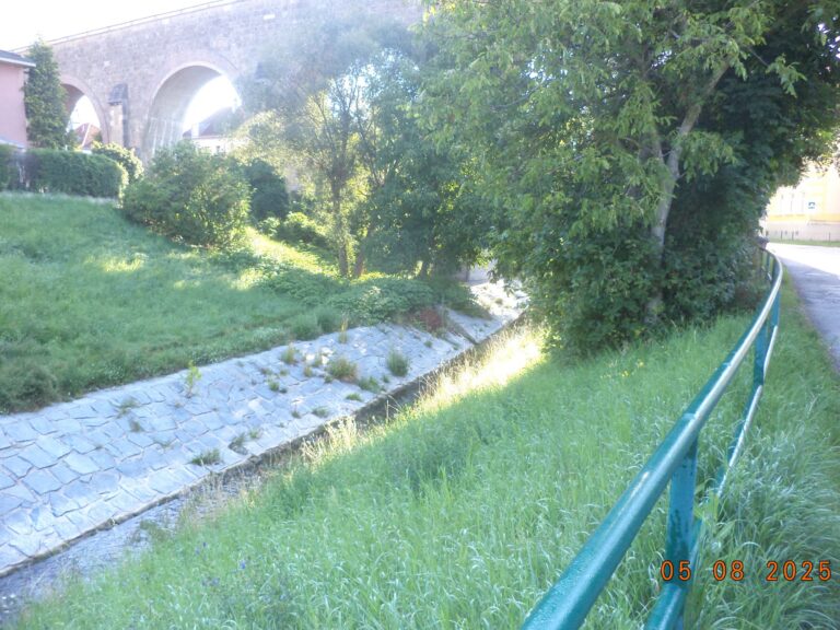 Wiese mit Bachlauf