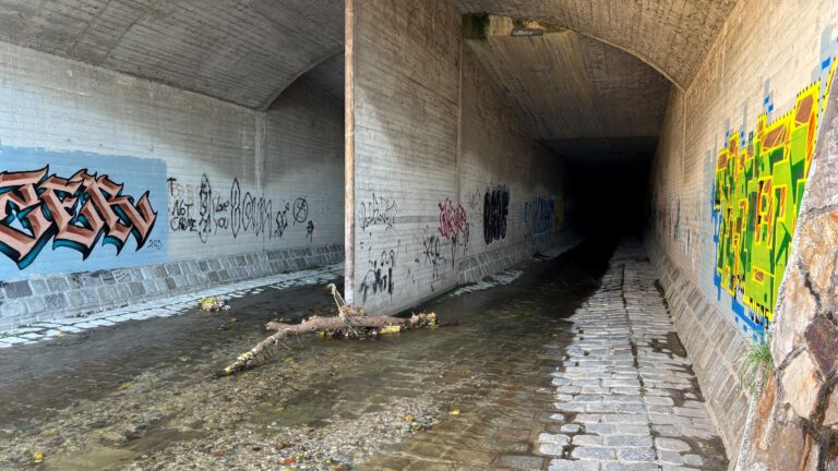 Tunnel mit Grafiti